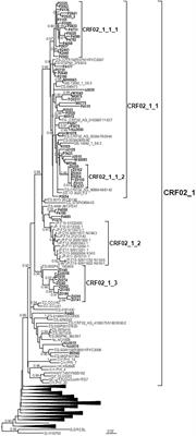 Diverse Large HIV-1 Non-subtype B Clusters Are Spreading Among <mark class="highlighted">Men Who Have Sex With Men</mark> in Spain